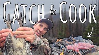 Backcountry Grouse Catch & Cook Over Campfire in the Mountains!