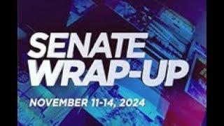 Senate Wrap-Up (November 11-14, 2024)