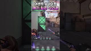 어센트 A사이트 깨기 힘든 각리콘 #shorts