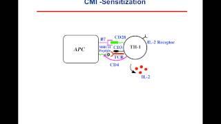 CMI video 1