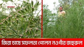 জিরা চাষে বাজিমাত | DBC NEWS Special