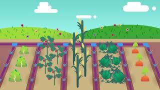 Humans and Food Are Part of the Water Cycle