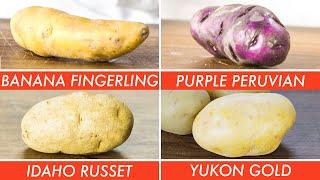 Trying Every Type Of Potato | The Big Guide | Epicurious