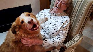 Cute moments of Grandparents and their Dog, who never talks about age with them️