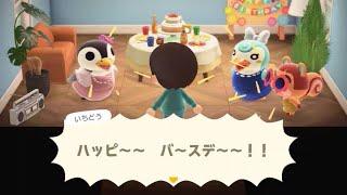 ＜あつ森ハッピー＞ネコリチュのエモーショナルな誕生日パーティーです！p４３