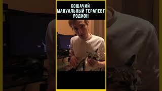 Исправляем протрузию. Мануальный кошелог хрустнул спину коту. #мануальнаятерапия #котики