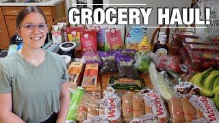 GROCERY HAUL & MEAL PLAN! | LARGE FAMILY FOOD 2024