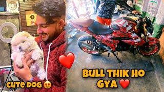 Finally Bull Thik Ho Gya ️ || Saksham Manhas || 