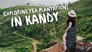 Can't Believe THIS Is Sri Lanka - Exploring Kandy & Tea Plantations