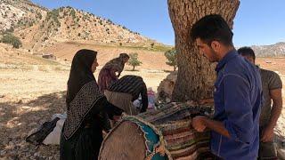 Nomadic Life: Reza and His Wife Embrace Mountain Living ️