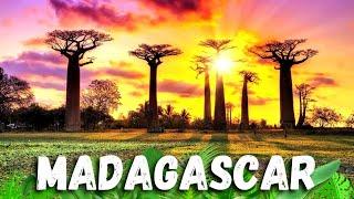 The 10 Great WONDERS of NATURE That Only Exist in MADAGASCAR - Great Tropical Forests Ep. 3