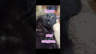 Парни мои сладкие.