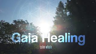 Gaia Healing  Slow Shaman Drum & RAV : Tantra Music : Solar Plexus Chakra Meditation