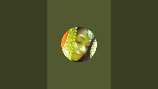 Preeti Singh official  is live!