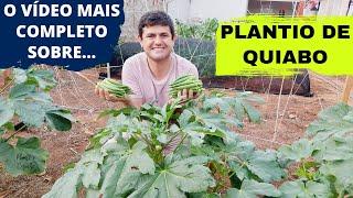 COMO PLANTAR QUIABO ORGÂNICO EM CASA DA FORMA CERTA. PROCESSO COMPLETO DO PLANTIO A COLHEITA (Ep140)