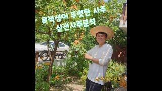 [사주디자인] 목적성이 뚜렷한 사주팔자. 실전 사주간명
