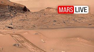 Breathtaking 4K Mars Panoramas Captured by Perseverance and Curiosity Rovers!