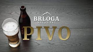 BRLOGA - PIVO (Official Video)