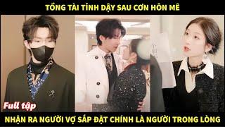 Tổng tài tỉnh dậy sau cơn hôn mê, bất ngờ nhận ra người vợ sắp đặt chính là người trong lòng bấy lâu