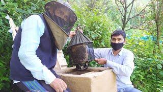 HOW TO PUT BEE'S IN MUDHIVE  ||मधुमक्खियों  को Mudhive में कैसे डाला जाता है||️️