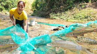 The girl sets fish traps on the stream, making her living on the lake.