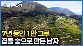 이유도 없이 나무가 좋아서 심기 시작했는데, 7년 후 집은 숲이 됐다｜7년 동안 1만 그루 유칼립투스 나무를 심었더니｜한국기행｜#골라듄다큐