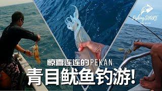 【FishingShare】惊喜连连的PEKAN青目鱿鱼钓游！2024年青目季节到了！Excitement-filled BIG FIN REEF SQUID FISHING TRIP!