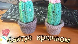 Вяжем кактус крючком.