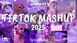 Tiktok Mashup January 2025 (Not Clean)