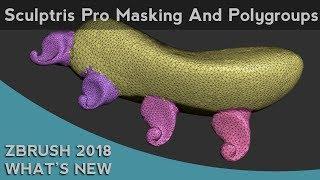 003 ZBrush 2018 Sculptris Pro Masking And Polygroups
