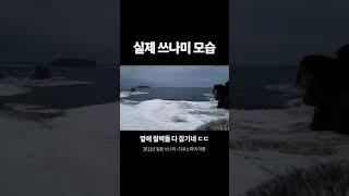 실제 쓰나미의 모습 (2배속)