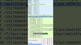 Packet Capture FOLLOWS the MALWARE