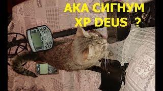 Какой металлоискатель выбрать АКА СИГНУМ или XP DEUS ?