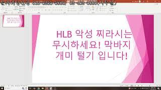HLB 악성 찌라시 무시하세요! 막바지 개미 털기 입니다! 간단 시황.