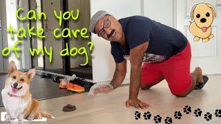 Can you take care of my dog? (Armenian Comedy)