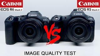 Canon R5II Vs Canon R6II | Image Quality Test | 24 MP vs 45 MP Full Frame