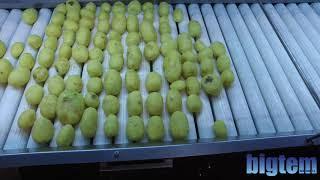 Bigtem Taze Patates İşleme Hattı / Bigtem Fresh Potatoes Processing Line