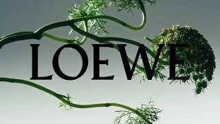 LOEWE PERFUMES | BOTANICAL RAINBOW AND HOME SCENTS - 30''