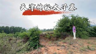 探访天津神秘太子墓，深坑下竟葬着乾隆7个儿子，到底是怎么回事？