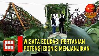 WISATA EDUKASI PERTANIAN