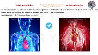 İnsan Anatomisi ve Kinesiyoloji Konu Kalp Ritmi