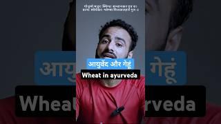 Wheat in Ayurveda: Sweet, Healing & Strength-Giving Supergrain!