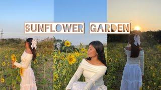 Sunflower Garden at my native village//Naga girl//friends//Tizit Mon//Nagaland