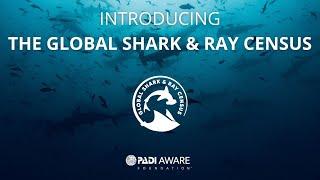 Introducing the Global Shark & Ray Census