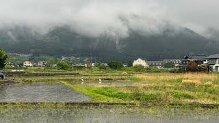 한가로운 일본 시골 풍경