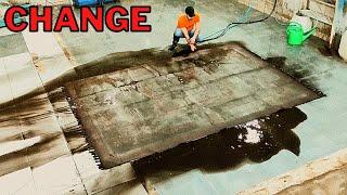 Incredible amounts of brown goo were coming out of this carpet _ ASMR Videos