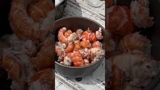 Monster Yabbies Catch and Cook