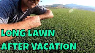 LONG LAWN AFTER VACATION Part 1  // Connor Ward