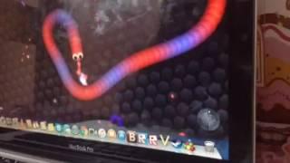 Slither.io - 21995