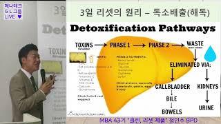 클린 3일리셋 해독 한끼쉐이크 디톡스 세포해독 매나테크